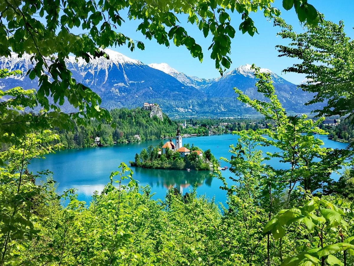 Ribno Alpine Hotel Блед Екстер'єр фото